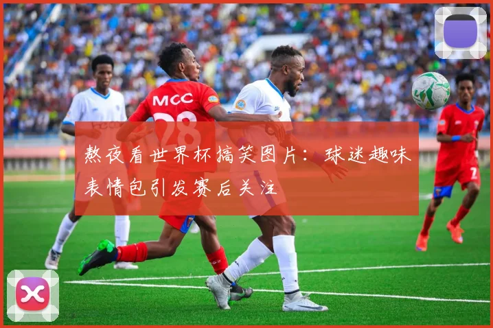 熬夜看世界杯搞笑图片:球迷趣味表情包引发赛后关注
