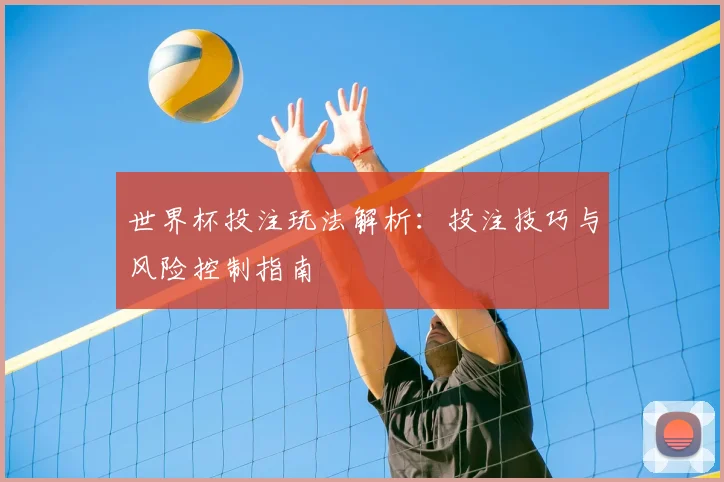 世界杯投注玩法解析：投注技巧与风险控制指南