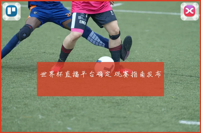 世界杯直播平台确定 观赛指南发布