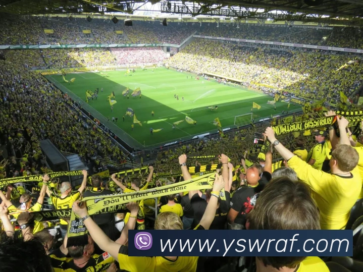 mksports在线登录平台生态图